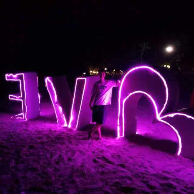 黑蚂蚁亮化效果图设计